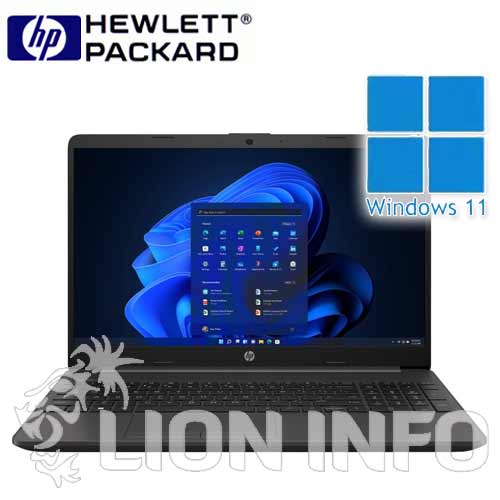 HP 250 G10